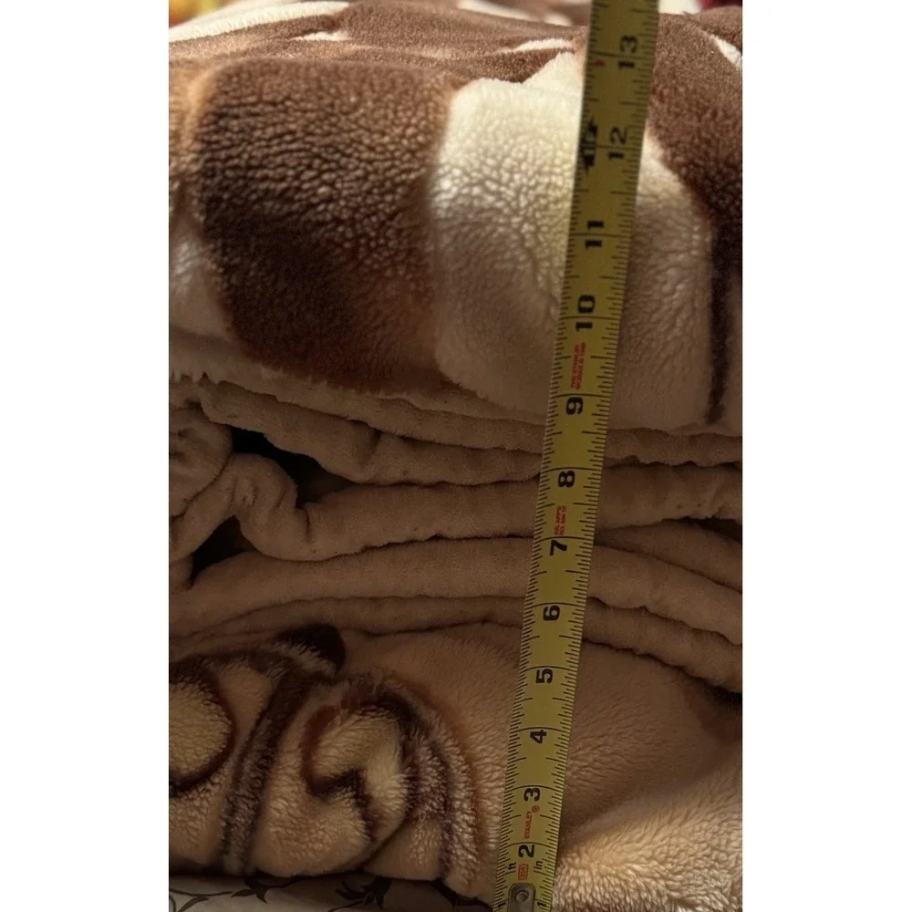 Mink Blanket Spain Plush Heavyweight Clipper Ship Floral Double Sided Polar Bear